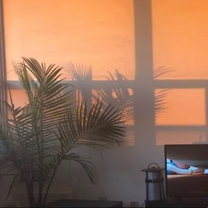 Meet your Posher, Pris